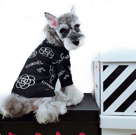 chanel sweater for dogs|purrfect chanel dog.